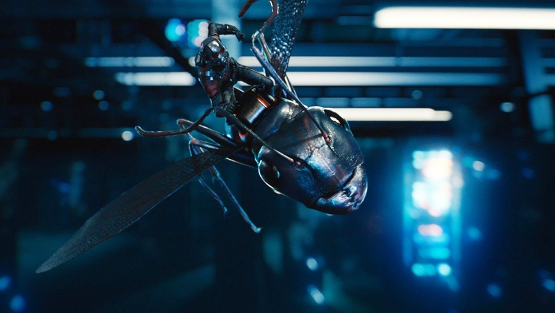 Quantumania': The Brain-Bending Designs of 'Ant-Man and The Wasp