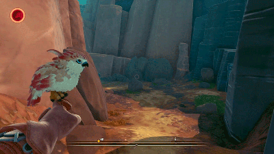 Falcon Age Is All About That Bird