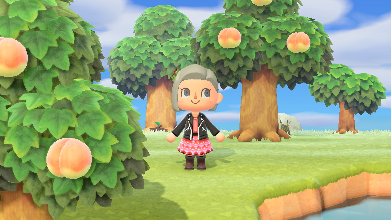 What's Coming Next For Animal Crossing: New Horizons?