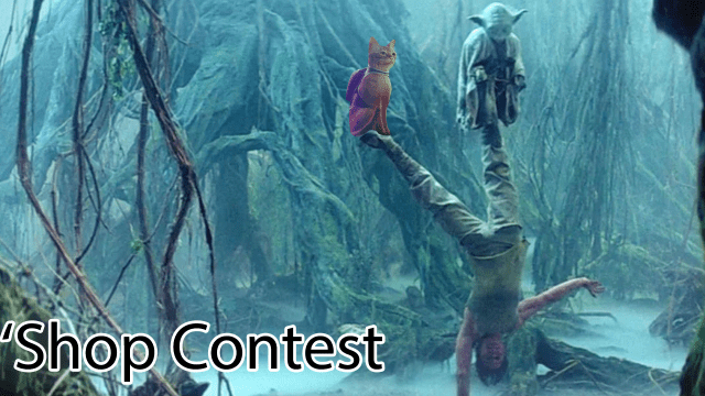 ‘Shop Contest: The PS5 Cat