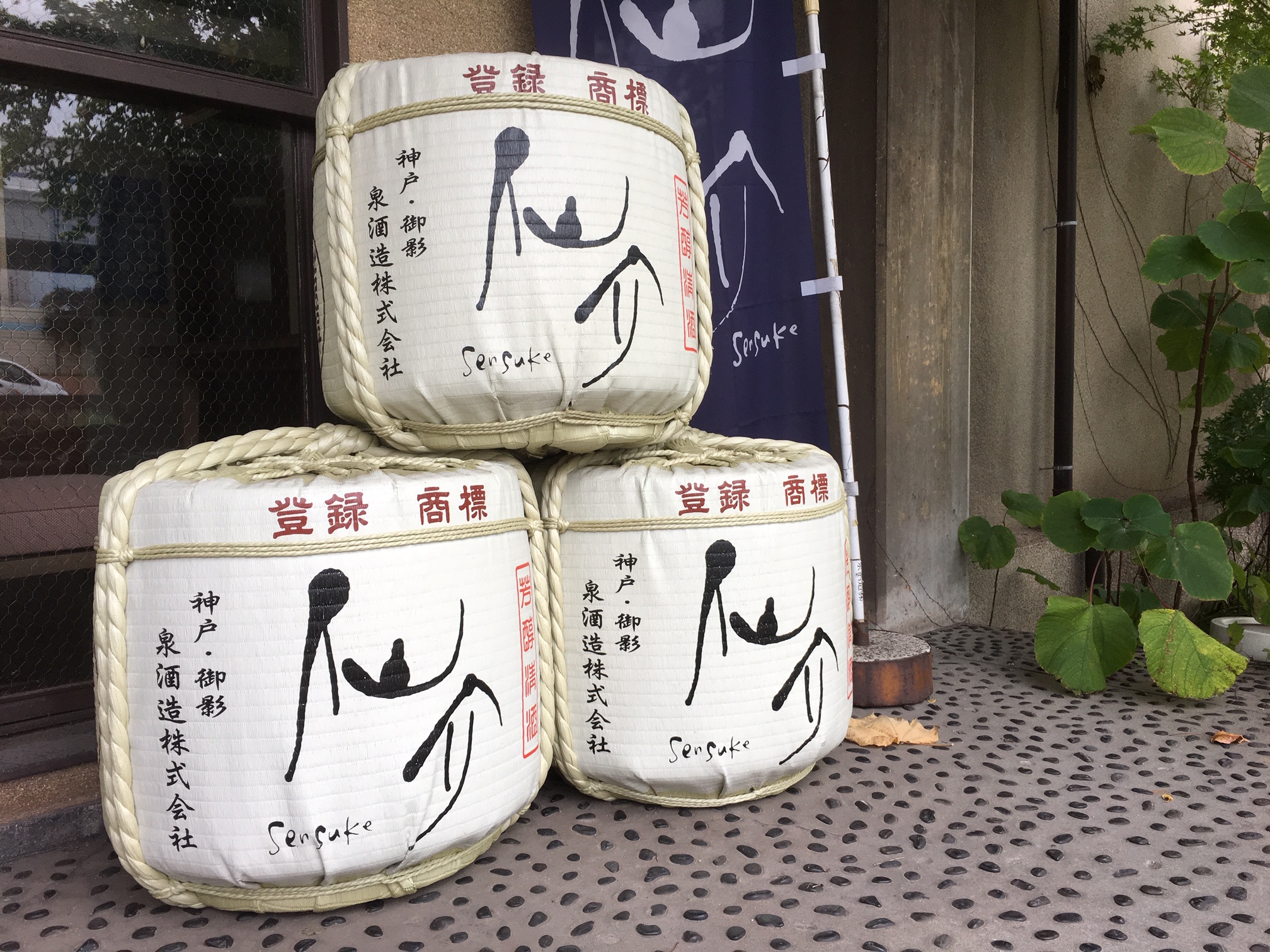 Casks of the excellent sake brand Sensuke.  (Photo: Brian Ashcraft)