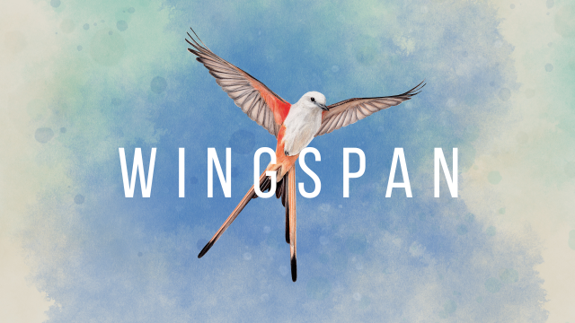Community Review: Wingspan