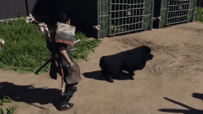 Ghost Of Tsushima Will Now Let You Pet The Beautiful Dogs