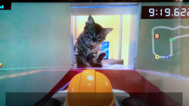 Cats Vs. Mario Kart Live: Home Circuit