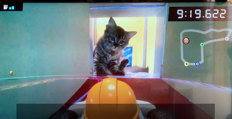 Screenshot: YouTube@DIY好きピエロと猫の日常ちゃんねる