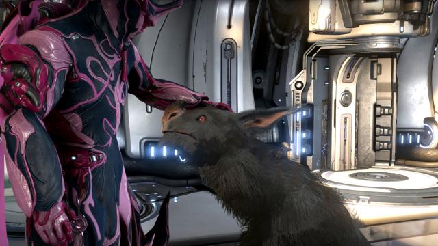 Warframe Guilts Me Into Playing By Making My Dog Hate Me, And I Don’t Love It