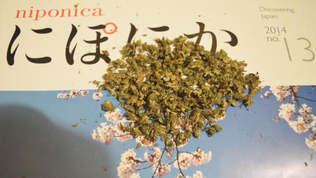 Why Japan Is So Strict About Drugs