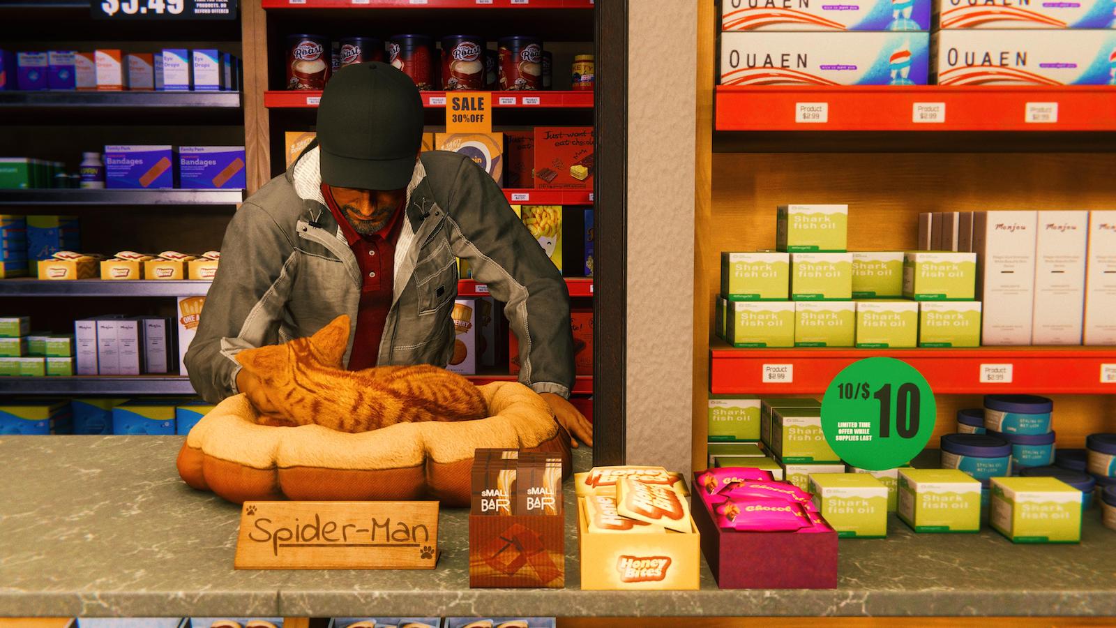 New York City owners keep cats around to prevent rodent infestations. Here, Spider-Man is hard at work. (Screenshot: Insomniac / Kotaku)