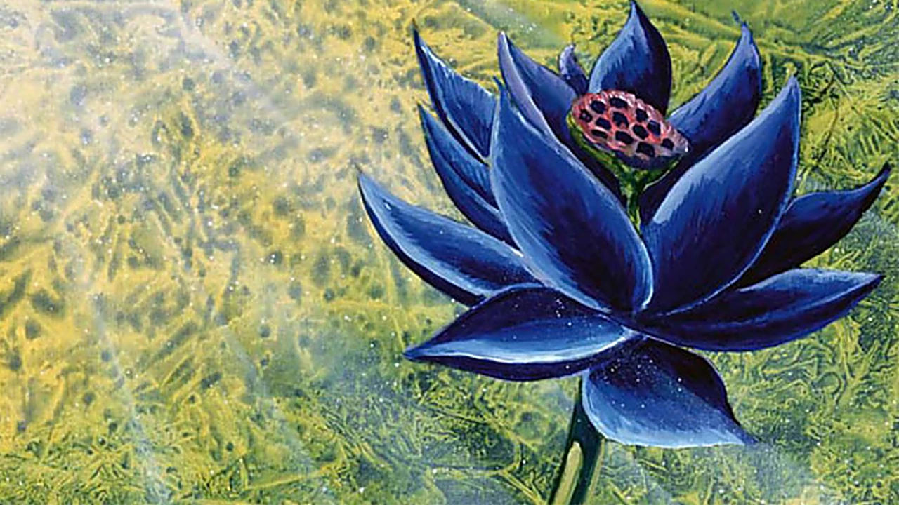 black lotus mtg