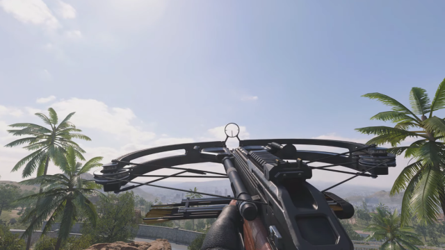 Activision Yanks Crossbow It Accidently Released Early Even After Players Spent Time Grinding For It