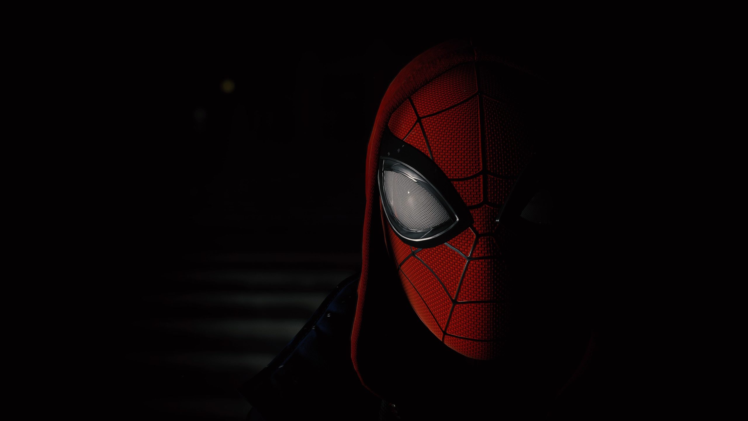 Spider-Man: Miles Morales (Screenshot: Ajeesh (Email))