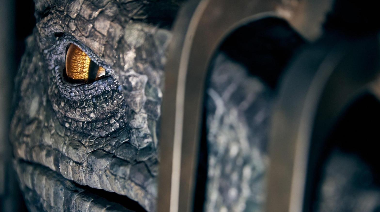 This clever girl has a point of view video for you. (Photo: Universal Studios)