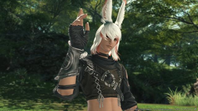 FFXIV Artists Used Their Free Time To Get Bunny Boys Into The Game