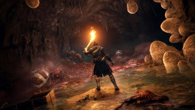 Elden Ring Will Be Easier, Dev Says, But No Difficulty Options