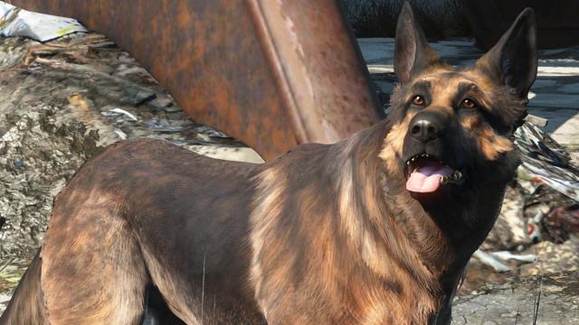 River, The Real-Life Dog Behind Fallout 4’s Dogmeat, Has Passed