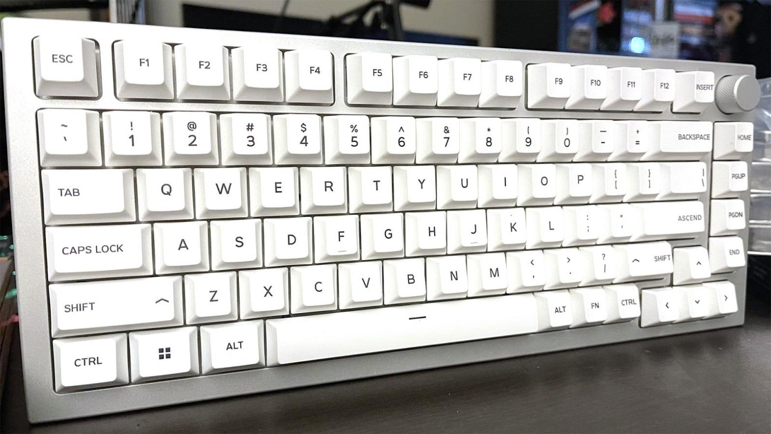 Complete with Glorious Panda switches and white ice keycaps. Mmmm.  (Photo: Mike Fahey / Kotaku)