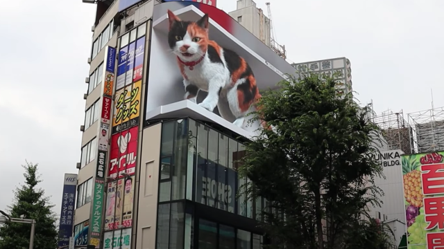 Giant Cat Becomes The Latest, Inevitable Tokyo Landmark