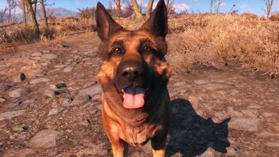 In Honour Of Fallout’s Fallen Dogmeat, Xbox/Bethesda Donates $13,448 To Charity