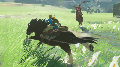 BOTW Fan Finishes Game Without Stepping In The Same Place Twice