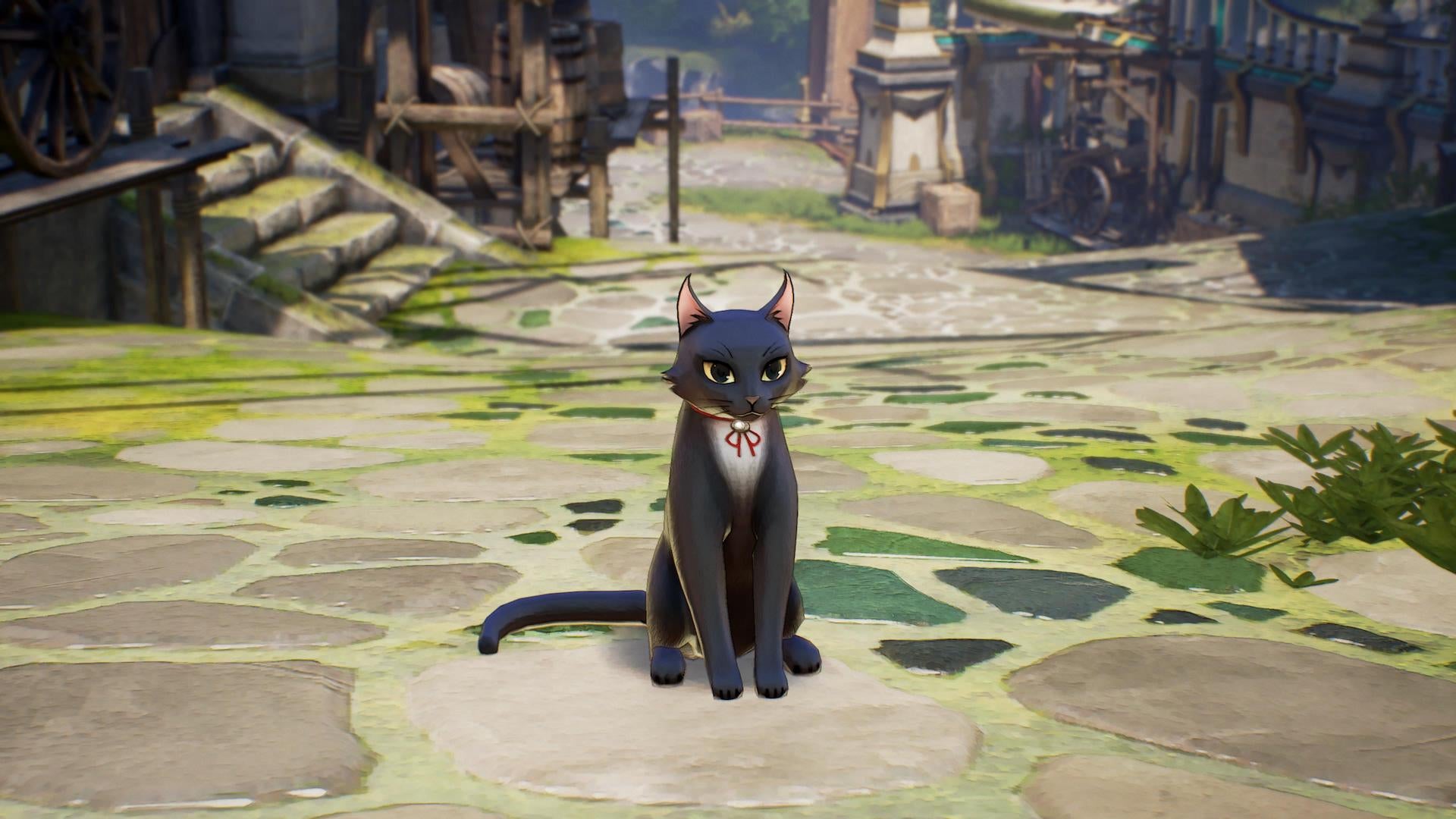 Sadly, you cannot pet the cat. (Screenshot: Bandai Namco / Kotaku)