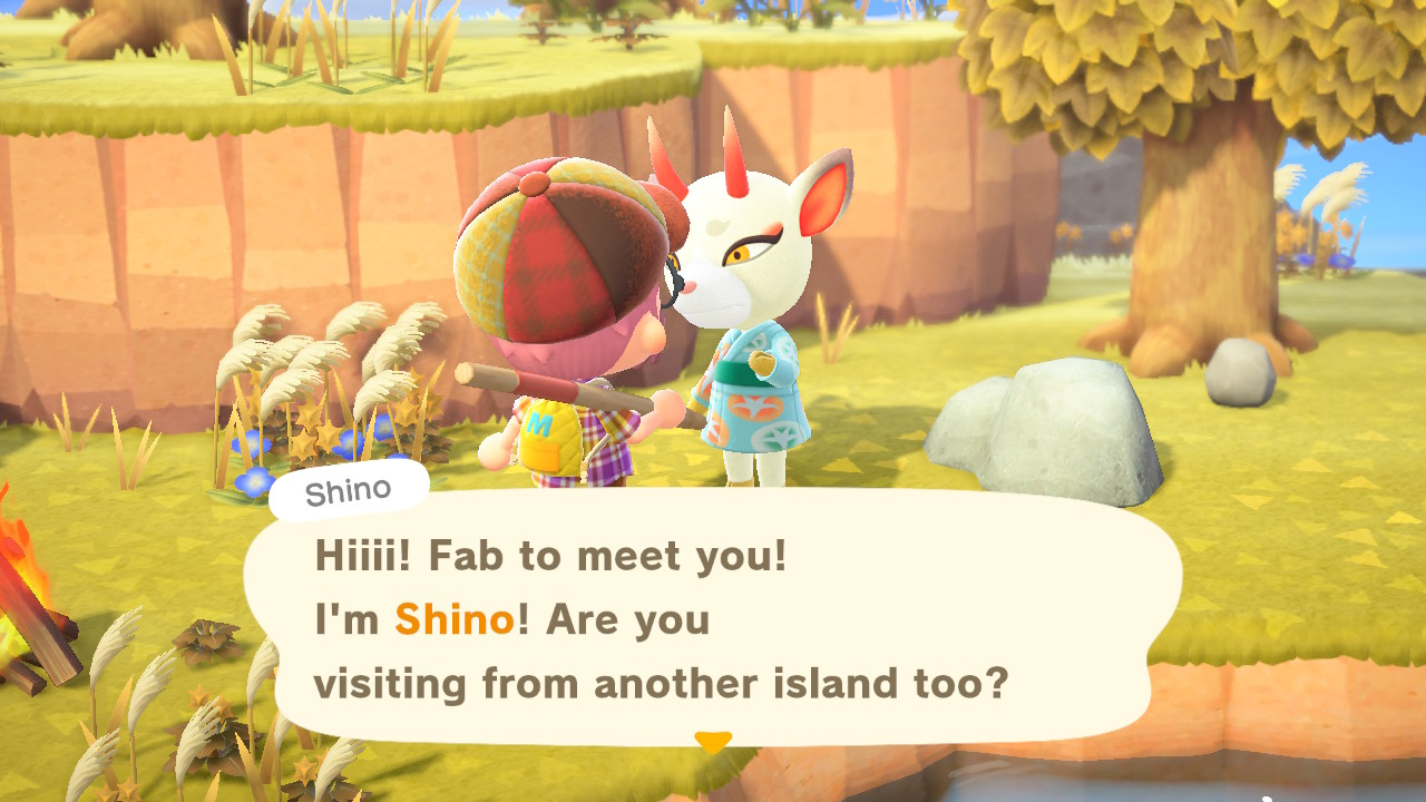 If you're very, very persistent, you might meet her in the wild.  (Screenshot: Nintendo / Kotaku)