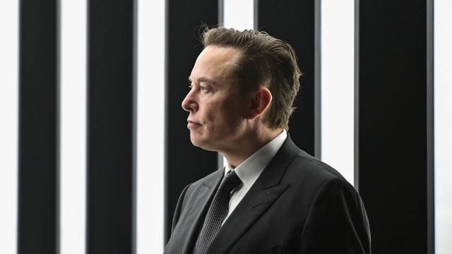 Elon Musk Buying Twitter Sucks, But Marginalised Game Devs Aren’t Leaving