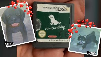 Internet Hero Saves Abandoned Nintendogs Thrown Away In Old Cartridge