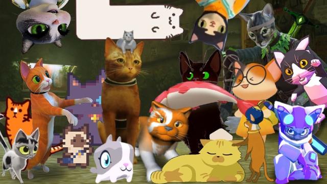 Cat Games Unite To Show Their Support For Stray