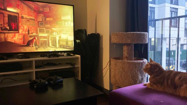 Real Cats Also Love Stray, The Cyberpunk Cat Game