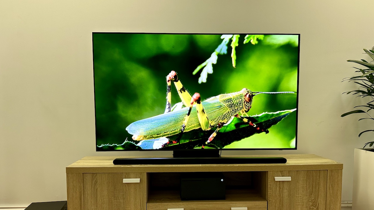 Samsung S95B OLED TV with a picture of a green cricket on it