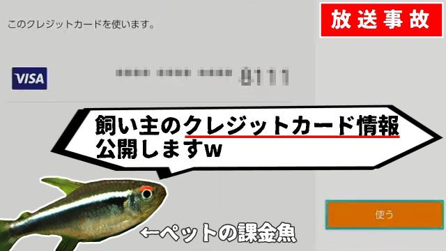 Pokémon Streamer’s Credit Card Details Get Leaked Live… By His Pet Fish