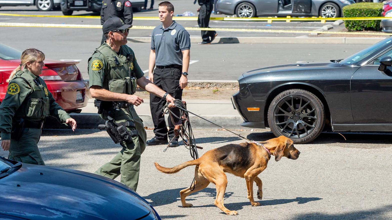 CSUF and local police during an unrelated 2019 incident.  (Photo: MediaNews Group / Orange County Register, Getty Images)