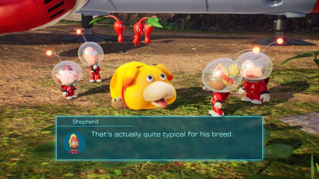 I Would Do Literally Anything For Pikmin 4’s Oatchi. I’d Even Commit Murder If Oatchi Asked Me To. Don’t Believe Me? That’s A You Problem. My Problem Is That I Love Oatchi Too Much