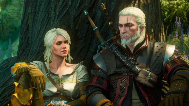 Witcher 3 Vagina Modder Claims CDPR Used Mod Without Permission