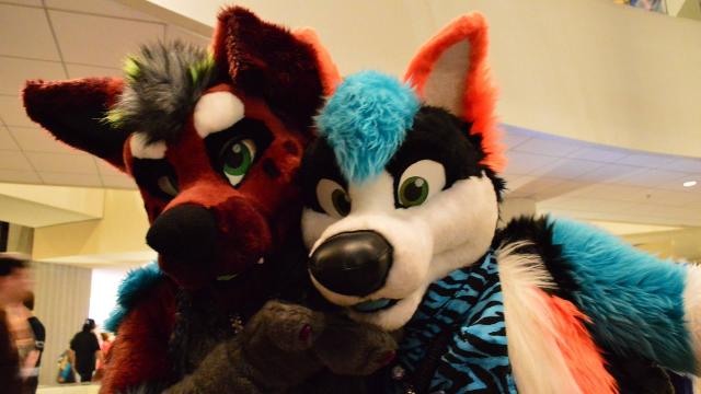 Furry Community Divided As Convention Drops COVID Requirements