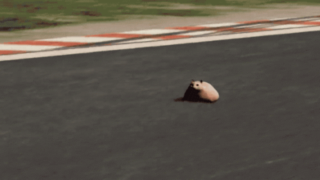 This Mod Lets You Race Cats on Assetto Corsa