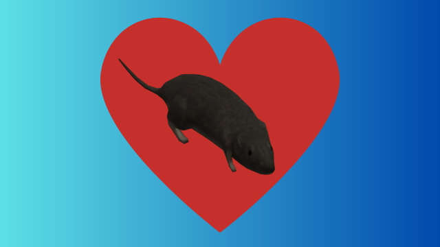 I Have Collected Many Images Of Low Poly Rats For You