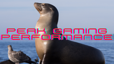 US Navy Is Teaching Sea Lions To Play Video Games (This Is Fine)