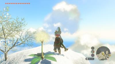 Tears of the Kingdom: What To Do For Those Dandelion Korok Puzzles You Keep Seeing
