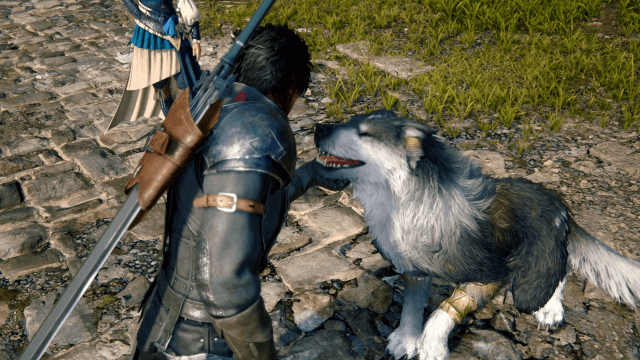 Final Fantasy is Hosting a Dog Cosplay Event, In Case You Needed A Jolt Of Dopamine
