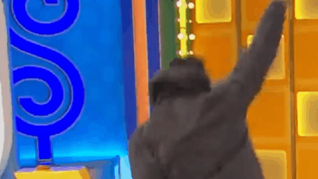 Guy Dislocates Shoulder Celebrating On The Price Is Right