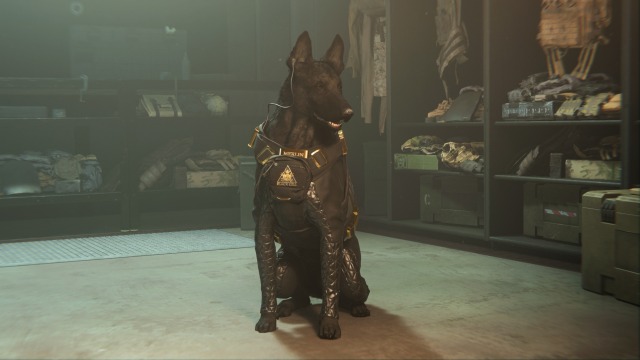 Bring A Dog To A Gunfight In New Call Of Duty Battlepass