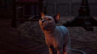 Baldur’s Gate 3 Patch Gives Naked Cat Fur And Fans Are Demanding He Be Shaved Again [Update: Larian Shaved Him]
