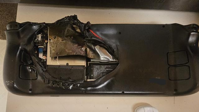 PSA: You Shouldn’t Cook Your Steam Deck